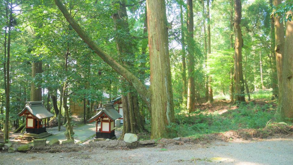 霧島東神社 御池に棲む九頭龍の安息地 Harada Office Weblog