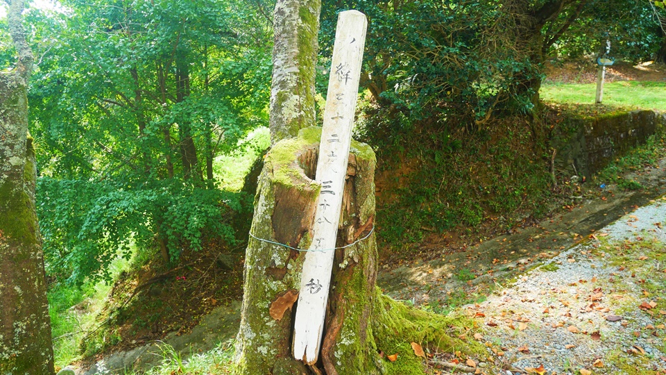 内ノ木場分校 旧東陽村の山中に開ける感動の3階建て校舎│Harada Office Weblog