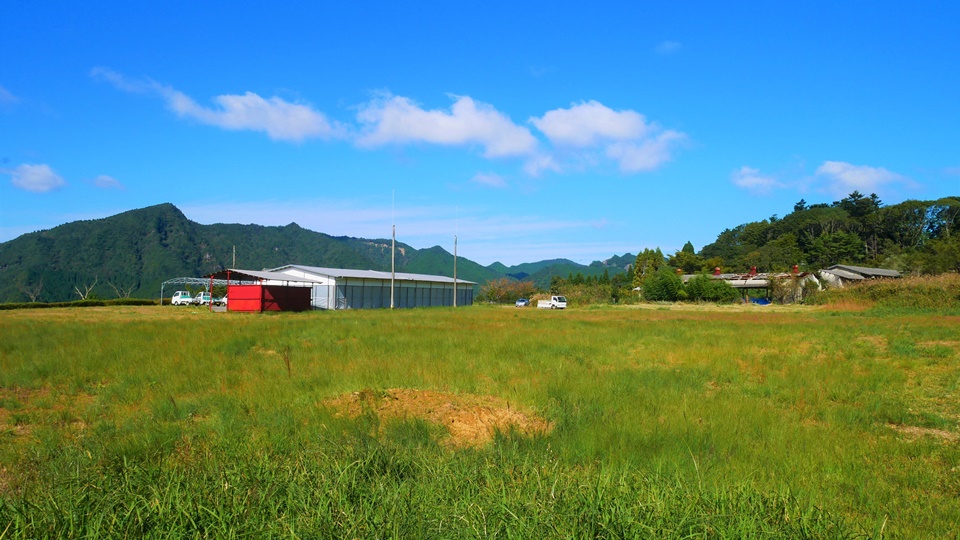 尾八重牧場 口蹄疫からスーパー種牛を守った天空の牧場 Harada Office Weblog