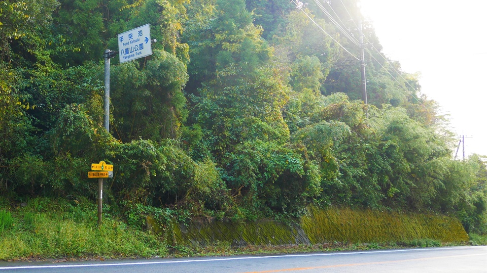 入来峠 雨の夜に何かが起こる 快走国道328号線 Harada Office Weblog