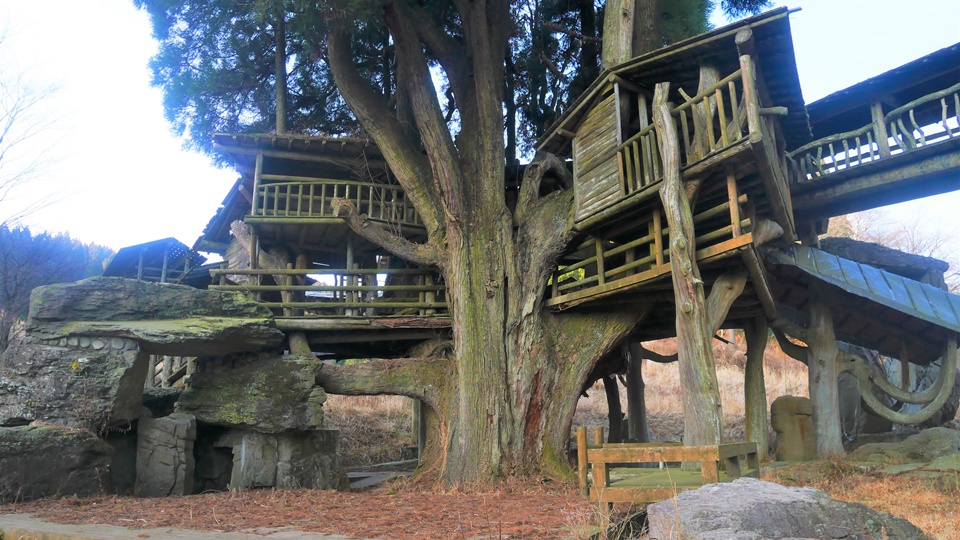 高森ツリーハウス 水神が宿る上玉来の大杉を守る大型木造建造物 Harada Office Weblog