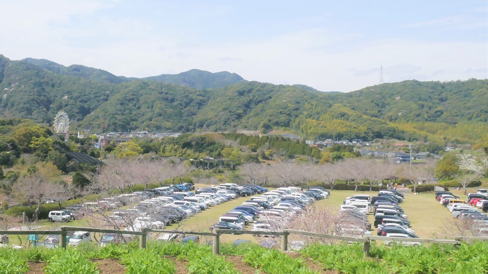 広場の市 ロケット広場のH-Ⅱロケット 産業道路を南下する際見える錦江湾公園の