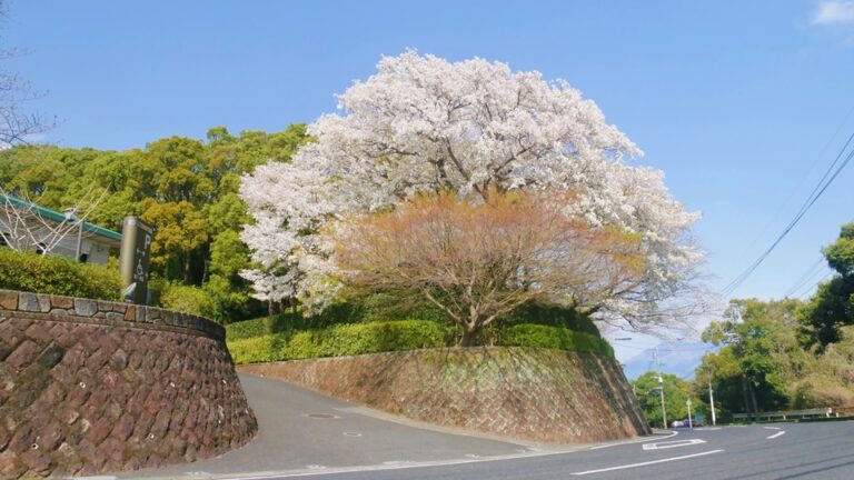慈眼寺公園　薩摩の名寺・慈眼寺跡に整備された公園│Harada Office Weblog