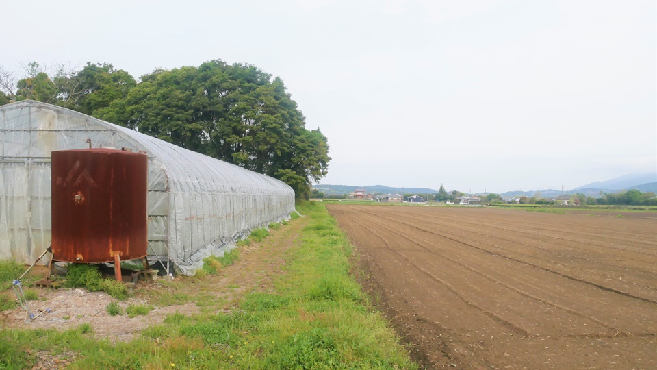切小田の墓地近くの雑木林 大和朝廷に最後まで反抗した隼人たちの首塚│Harada Office Weblog