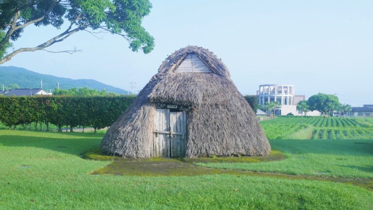橋牟礼川遺跡 南九州の人々の遠い祖先が住んだ大集落│Harada Office