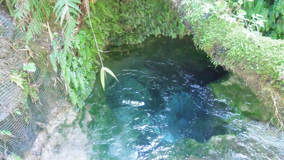 淡水の湧水がある世界のビーチはどこですか?