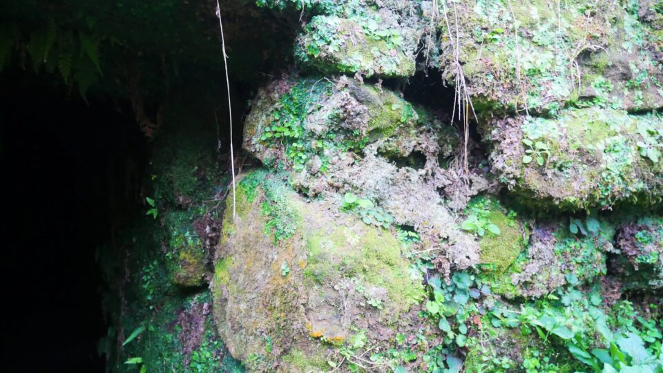トンカラリン 謎が謎をよぶ熊本・菊水のトンネル型遺構│Harada Office