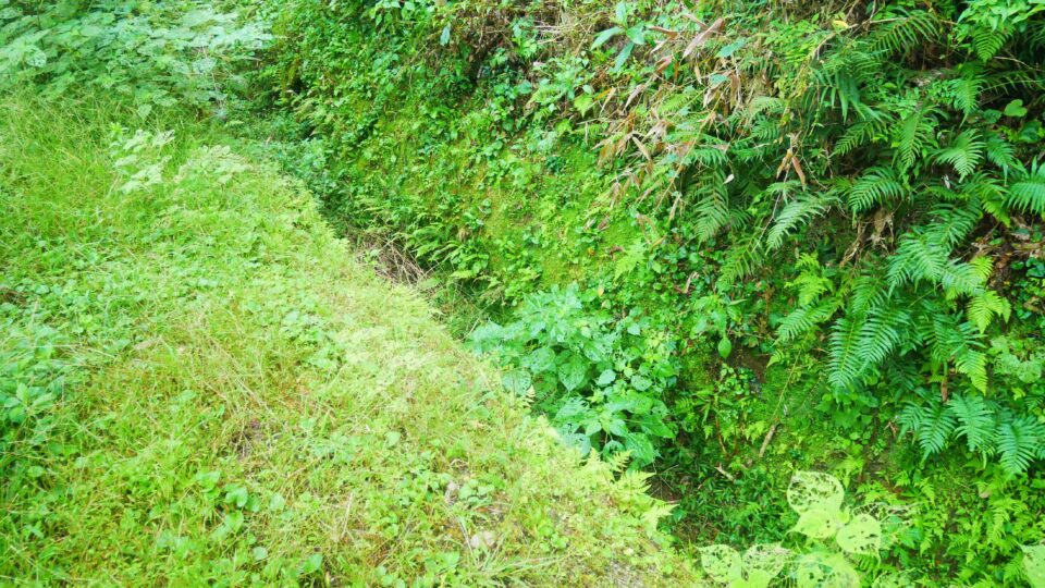 トンカラリン 謎が謎をよぶ熊本・菊水のトンネル型遺構│Harada Office Weblog