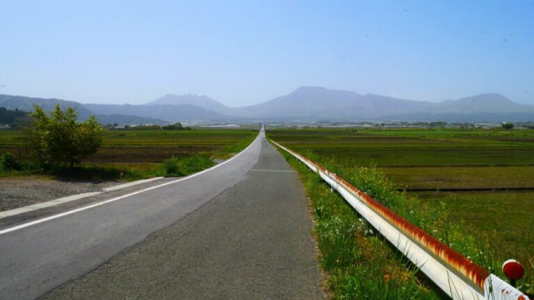 幸せの一本道　手野