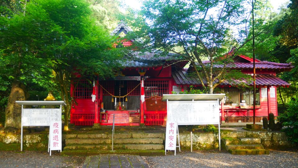 太田神社 病気治癒の神さまと絶対試験に落ちないド根性クスノキ│Harada Office Weblog